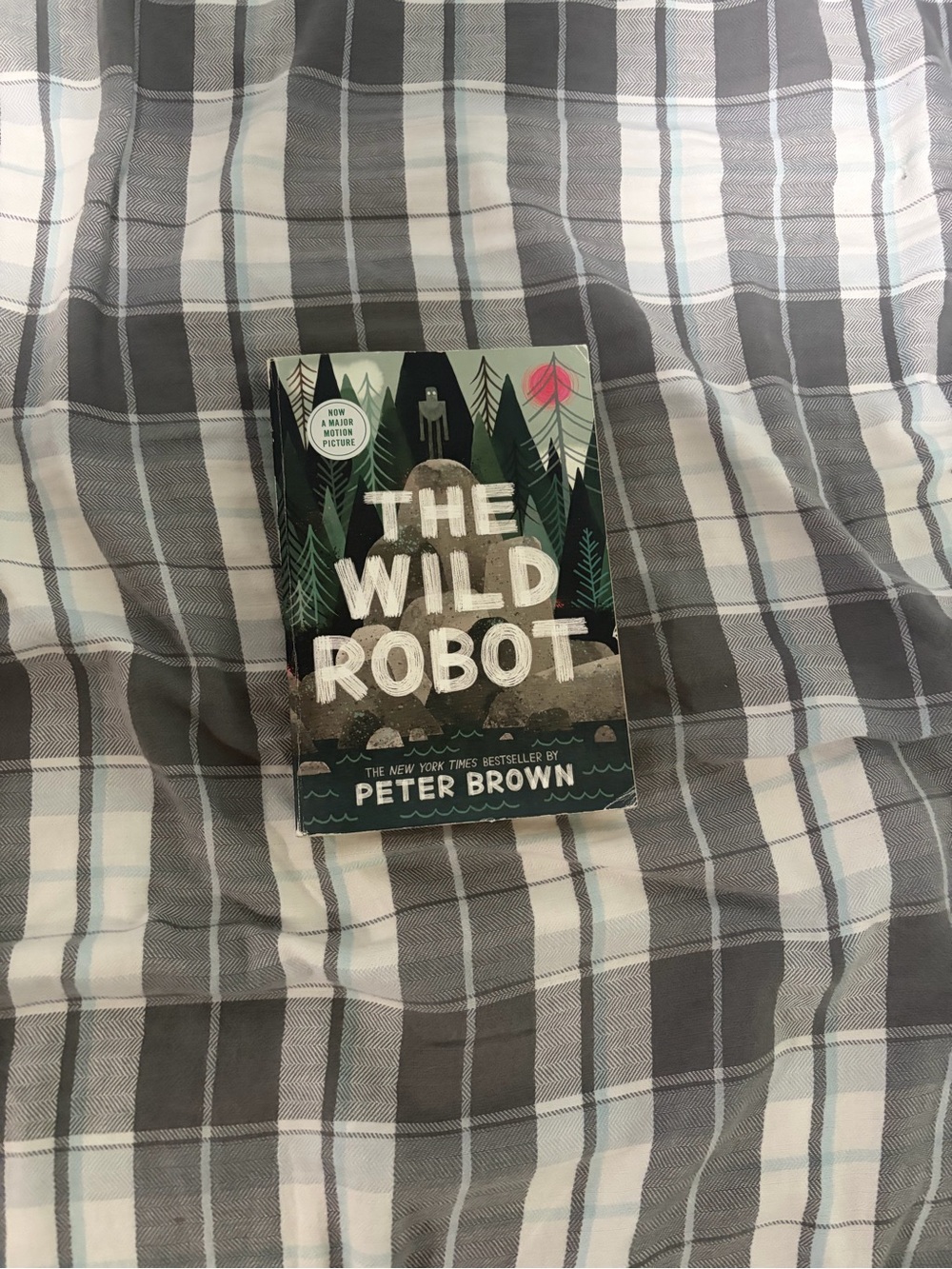 The Wild Robot by Peter Brown Book